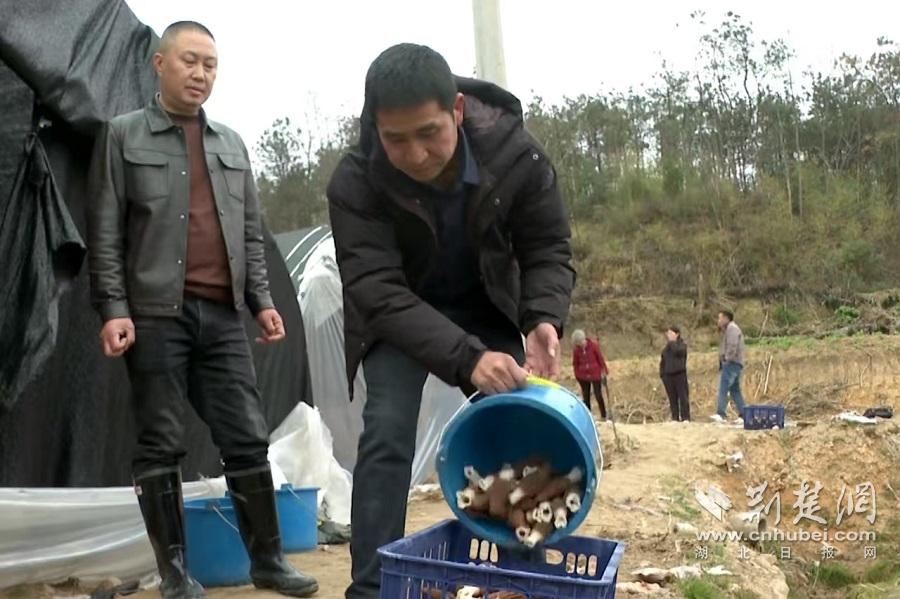 微信圖片_20250219142620.jpg