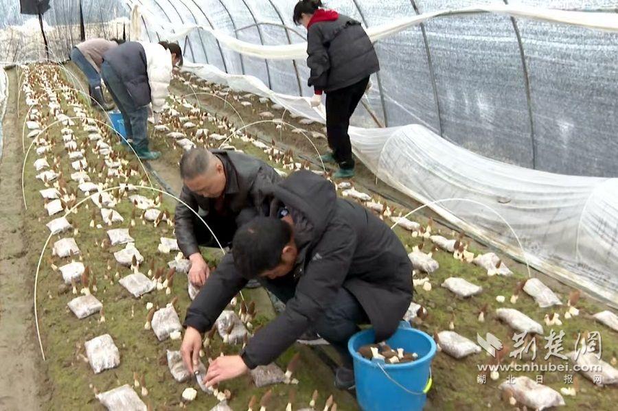 微信圖片_20250219142614.jpg.jpg