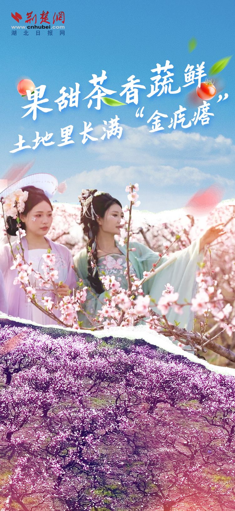 海報(bào)1.jpg.jpg