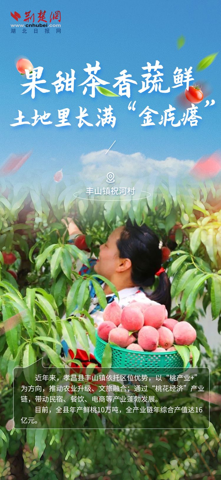 海報(bào)2.jpg.jpg