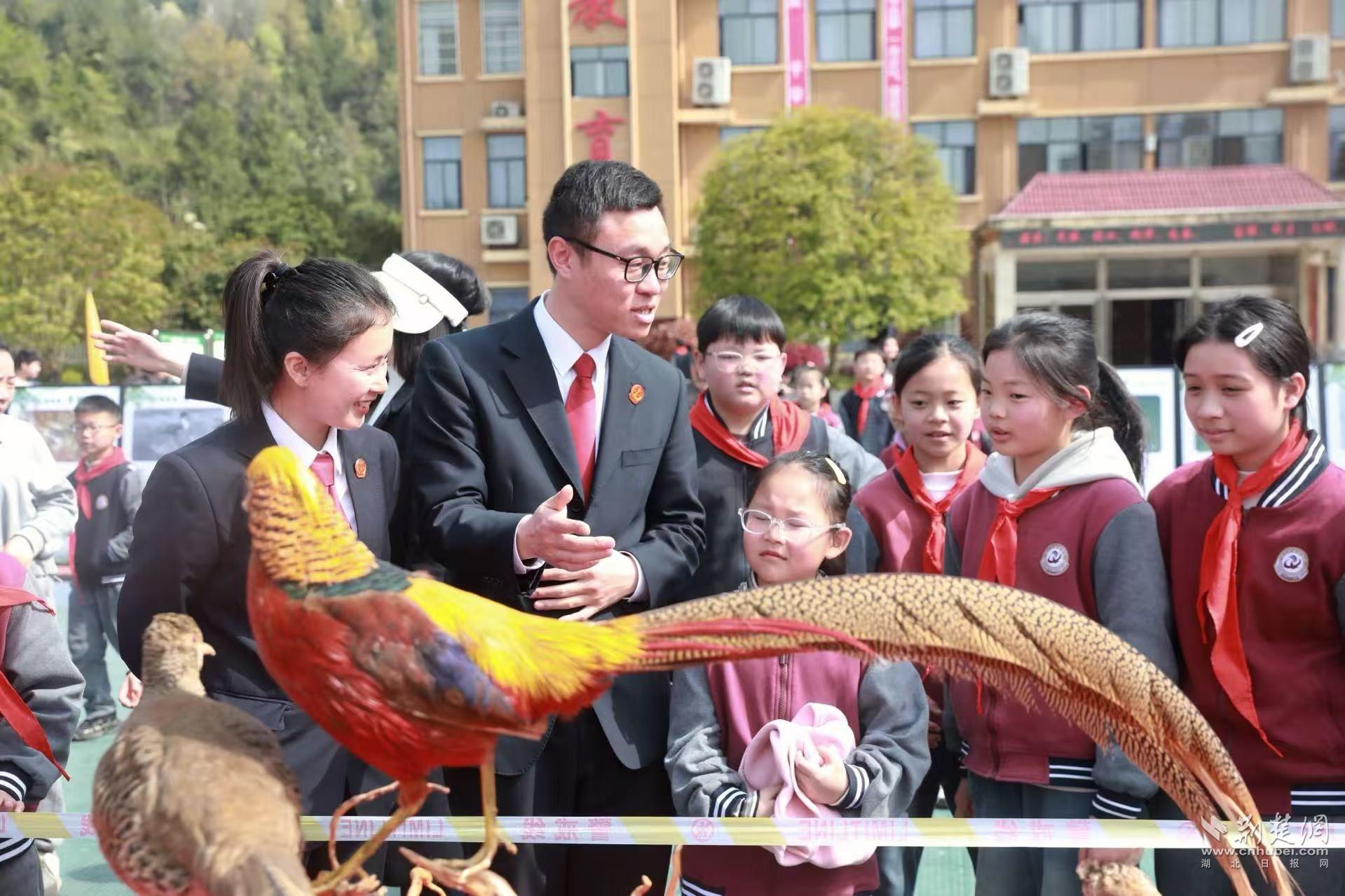 法官向?qū)W生科普珍稀鳥(niǎo)類.jpg.jpg