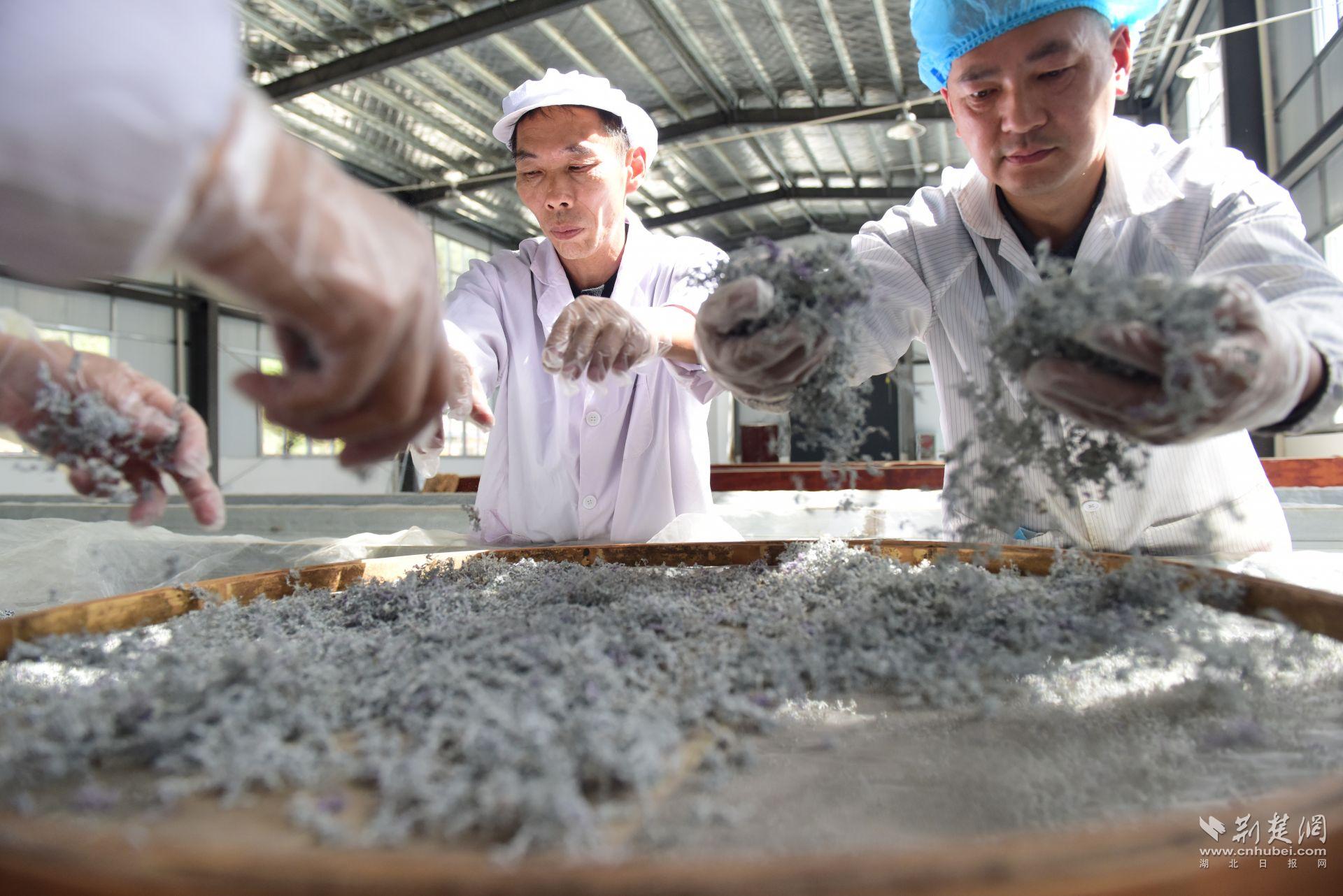 生產(chǎn)加工.jpg.jpg