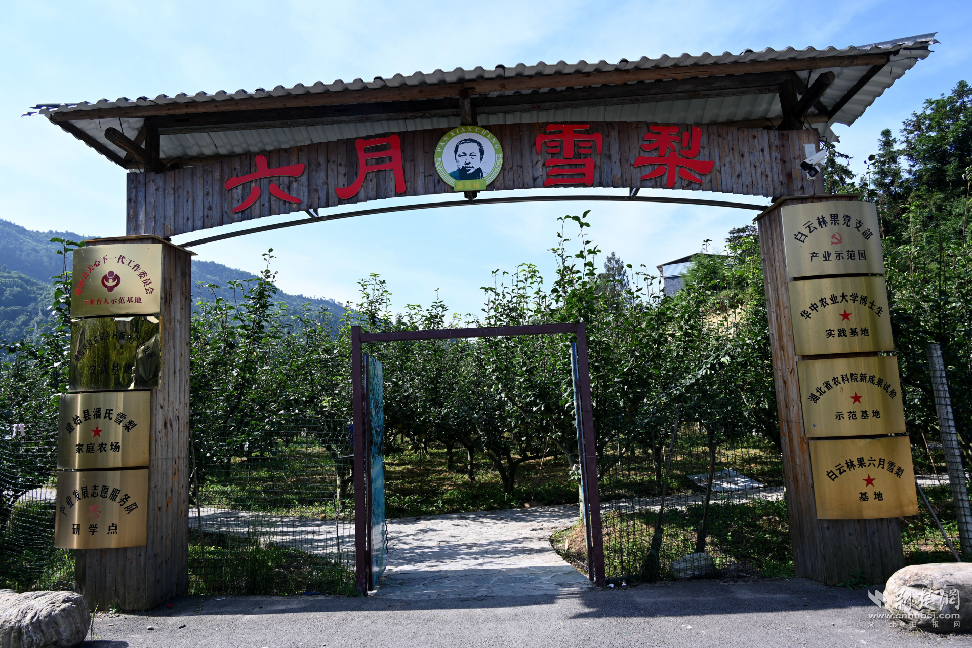 微信圖片_20250715222002.png.png