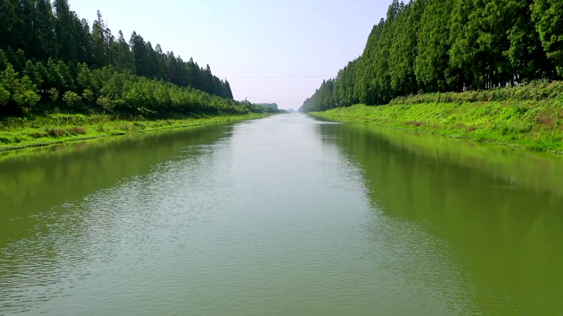 水生態(tài)修復(fù)與管理（建議）.jpg.jpg