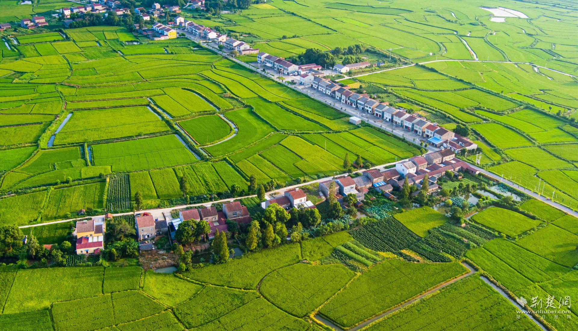 生態(tài)村（積玉口鎮(zhèn)古城村）.jpg.jpg