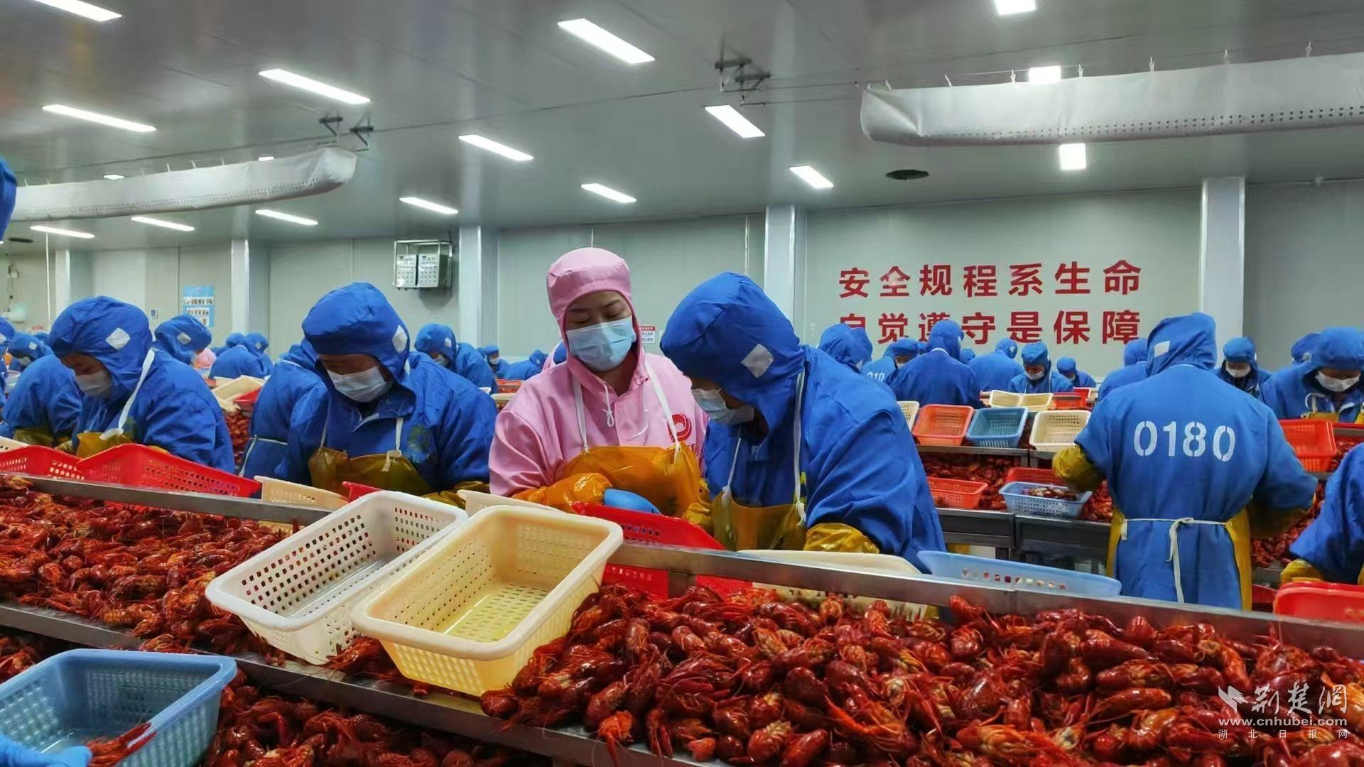 湖北綠億園食品科技有限公司 剝蝦現(xiàn)場照.jpg.jpg
