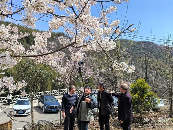 花樣經(jīng)濟(jì) 咸安1.jpg.jpg