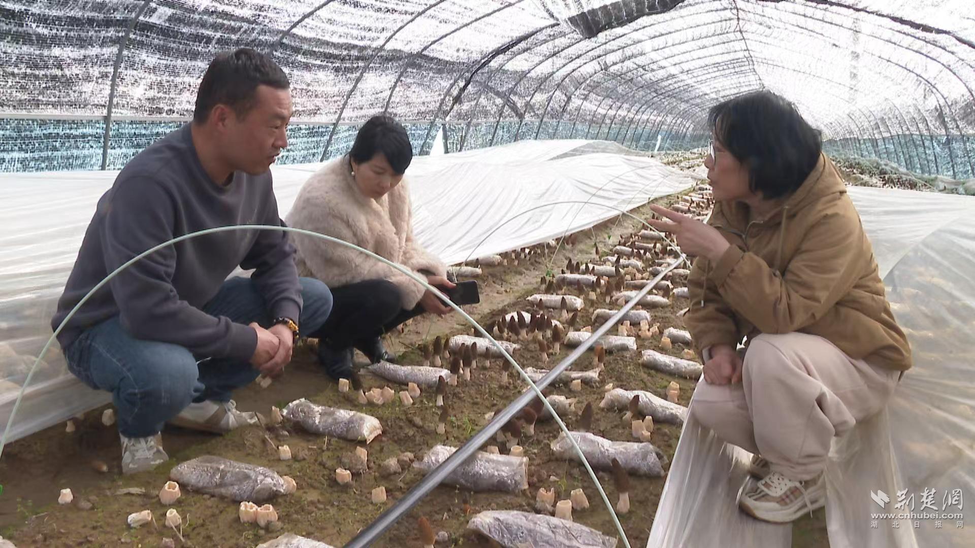 微信圖片_20260309105850_201_508.jpg.jpg