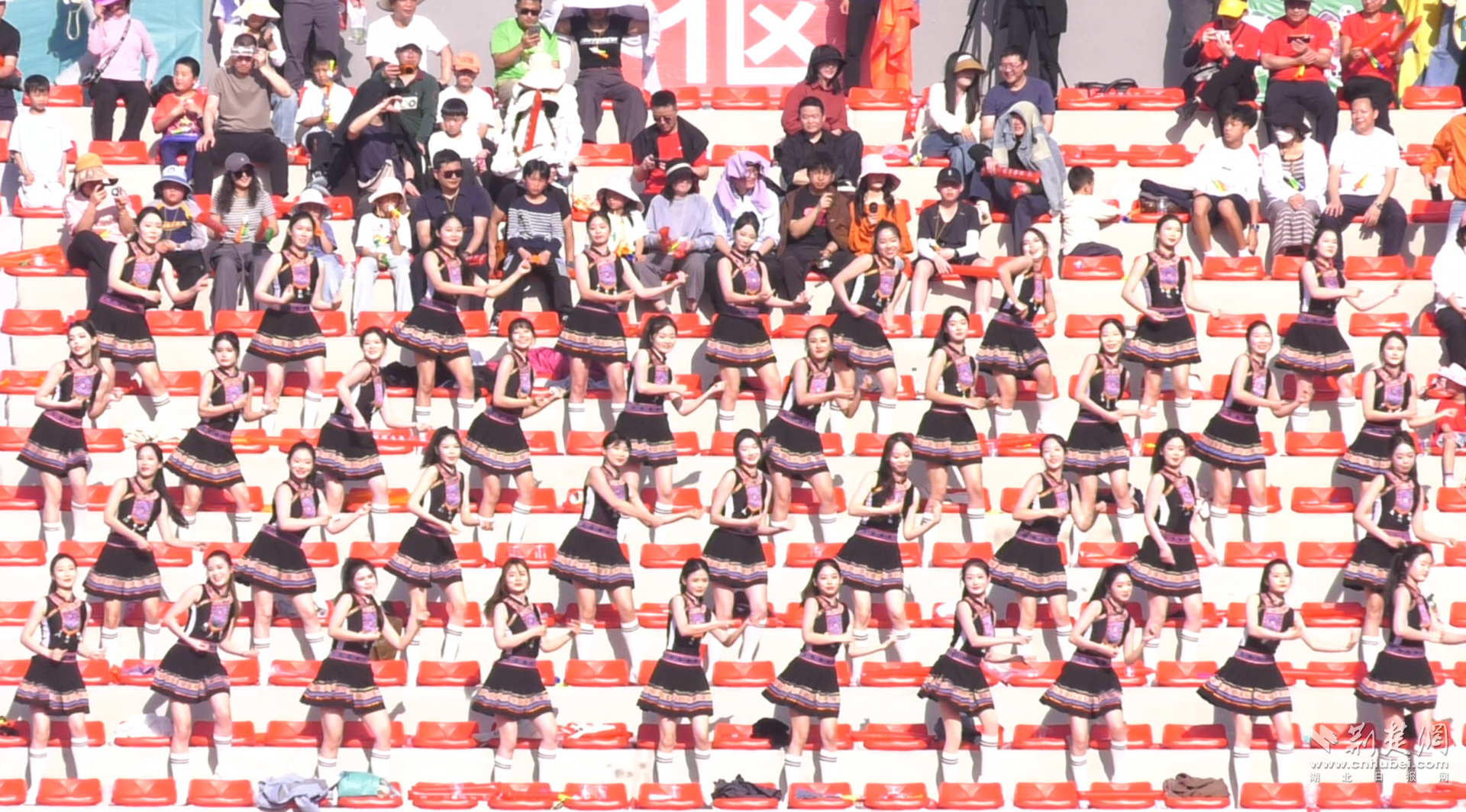 d94b008b4f3bcd63539f16d079051d5a.png.png