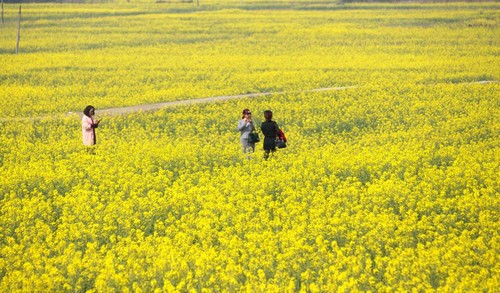 563624387217278576.jpg 563624387217278576.jpg