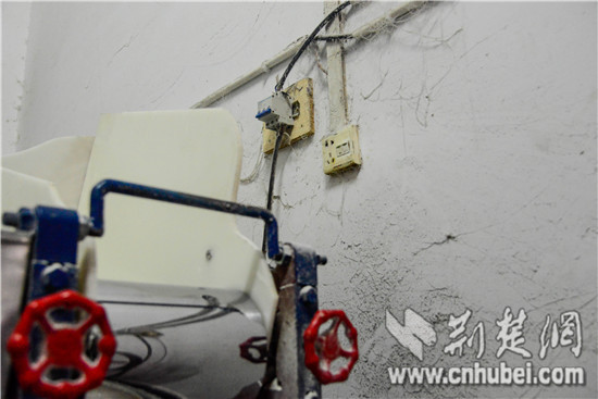 _DSC0134.jpg _DSC0134.jpg