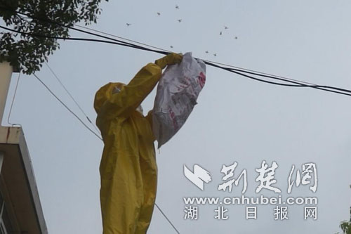 QQ截圖20180704101511副本.jpg