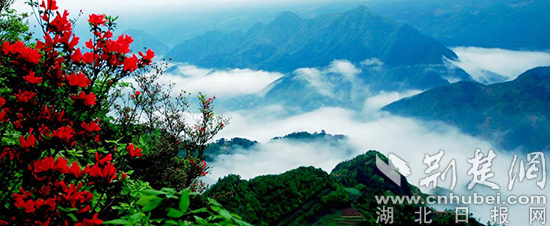 蘇馬蕩云海.jpg