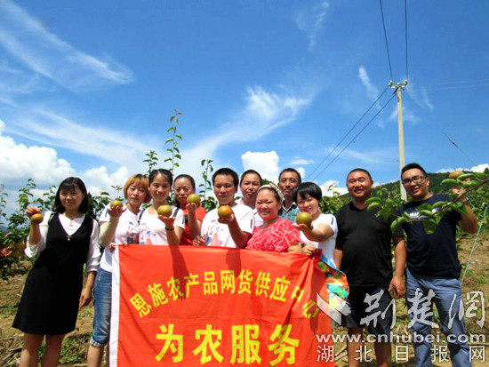 圖三網(wǎng)貨團隊推銷金果梨（網(wǎng)貨中心供圖）_副本.jpg